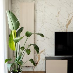 Decorative,Houseplant,Next,To,Tv,In,Elegant,Room,With,Marble